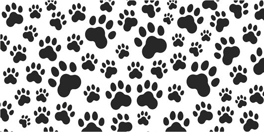 Nasogastric Tube Tape - Paw Print